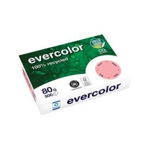 Carton de 5 ramettes de 500 feuilles format A4 80g rose recyclé 40003CX5 EVERCOLOR CLAIREFONTAINE Carton de 5 ramettes de 500 feuilles format A4 80g rose recyclé 40003CX5 EVERCOLOR CLAIREFONTAINE