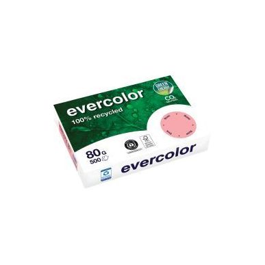Achetez Carton de 5 ramettes de 500 feuilles format A4 80g rose recyclé 40003CX5 EVERCOLOR CLAIREFO..