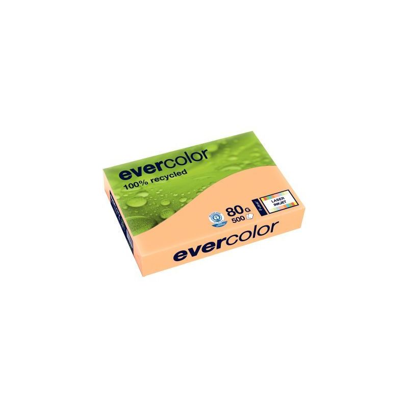 Achetez CLAIREFONTAINE Ramette de 500 feuilles papier couleur recyclé EVERCOLOR 80gr format A4 Saum..