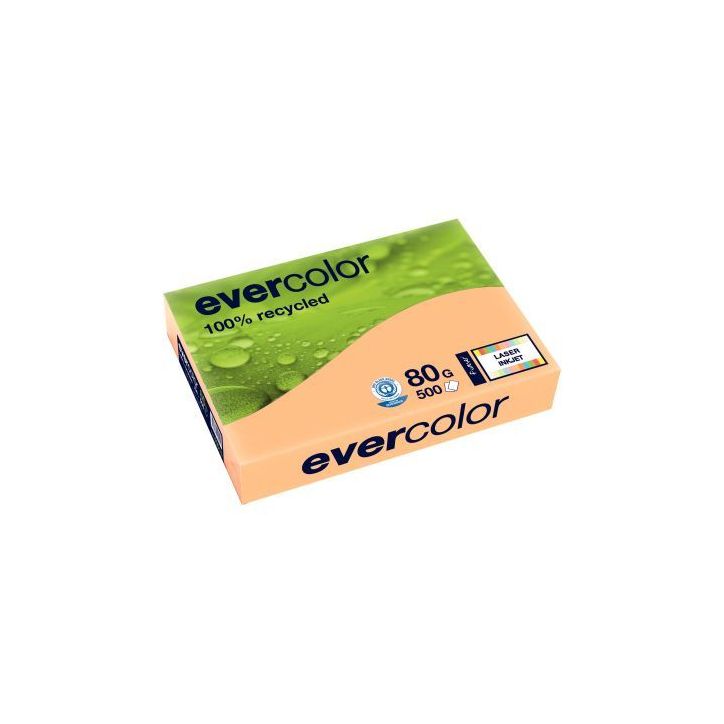 CLAIREFONTAINE Ramette de 500 feuilles papier couleur recyclé EVERCOLOR 80gr format A4 Saumon 40015