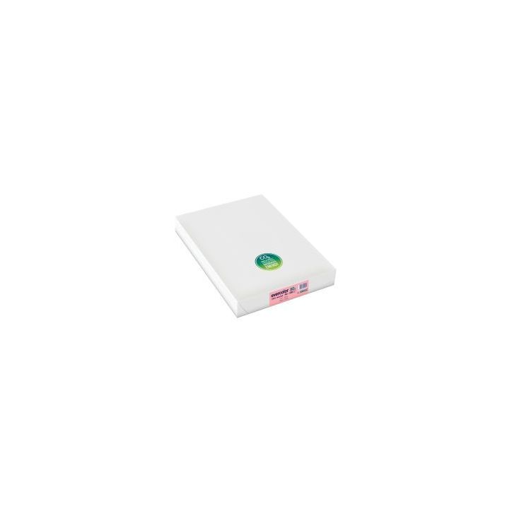 Carton de 5 ramettes de 500 feuilles format A3 80g rose recyclé 30003CX5 EVERCOLOR CLAIREFONTAINE