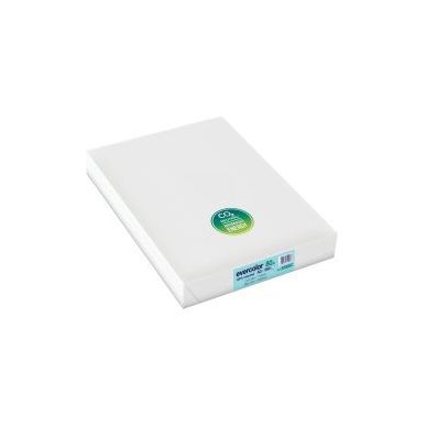 Achetez Carton de 5 ramettes de 500 feuilles format A3 80g bleu recyclé 30006CX5 EVERCOLOR CLAIREFO..