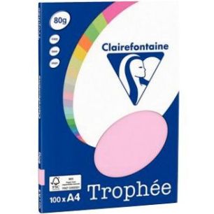 Achetez Pochette de 100 feuilles format A4 80g rose CLAIREFONTAINE 4103C TROPHEE CLAIREFONTAINE pas ..
