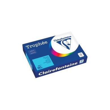Achetez Carton  de 5 ramettes de 500 feuilles format A4 80g bleu alizé 1774PCX5 TROPHEE CLAIREFONTA..