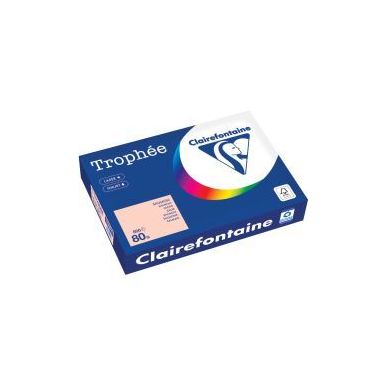 Achetez Carton de 5 ramettes de 500 feuilles format A4 80g saumon 1769PCX5 TROPHEE CLAIREFONTAINE pa..