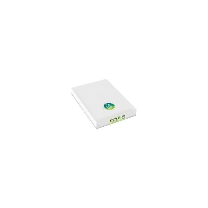 Carton de 5 ramettes de 500 feuilles format A3 80g vert recyclé 30004CX5 EVERCOLOR CLAIREFONTAINE