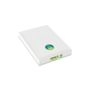 Achetez Carton de 5 ramettes de 500 feuilles format A3 80g vert recyclé 30004CX5 EVERCOLOR CLAIREFO..