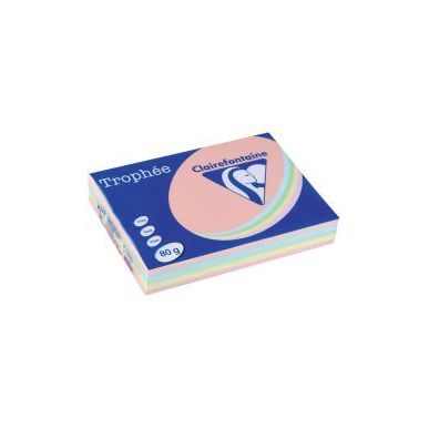 Achetez Carton de 5 ramettes de 500 feuilles format A4 80g assortis pastel 1703CX5 TROPHEE CLAIREFON..