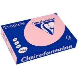 Achetez CLAIREFONTAINE Ramette de 250 feuilles papier couleur TROPHEE 160 grammes format A4 Rose 263..