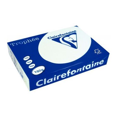 Achetez TROPHEE A4 160G FSC COULEUR VIVE X250F GRIS PERLE pas cher sur Ma Rentrée Scolaire