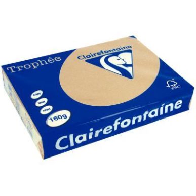 Achetez TROPHEE A4 160G FSC COULEUR VIVE X250F CARAMEL pas cher sur Ma Rentrée Scolaire