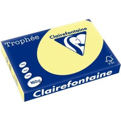 Achetez TROPHEE A3 160G COULEUR VIVE X250F JONQUILLE pas cher sur Ma Rentrée Scolaire