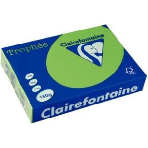 Achetez CLAIREFONTAINE Ramette de 250 feuilles papier couleur TROPHEE 160 grammes format A4 Vert men..