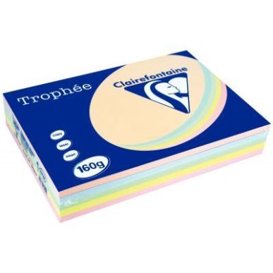 Achetez Paquet de 250 feuilles de papier 160g de format A4 assortis pastel TROPHEE CLAIREFONTAINE 17..