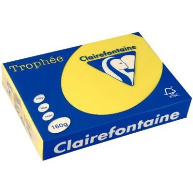 Achetez CLAIREFONTAINE Ramette de 250 feuilles papier couleur TROPHEE 160 grammes format A4 Jaune so..
