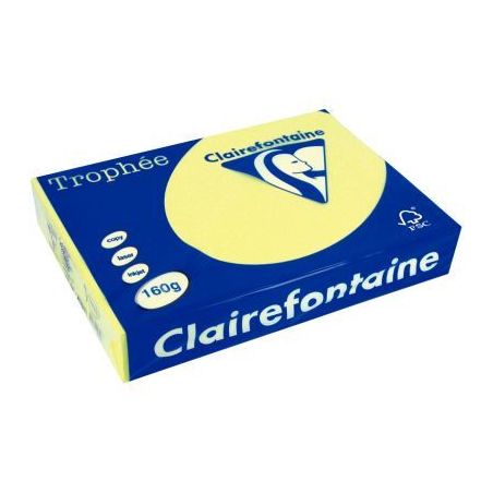 Achetez TROPHEE A4 160G FSC COULEUR VIVE X250F JONQUILLE pas cher sur Ma Rentrée Scolaire