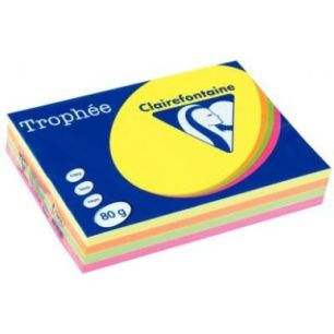 CLAIREFONTAINE Ramette 4x125F papier couleur Trophée 80g A4 assortis fluo Rose,Jaune,vert,Orange CLAIREFONTAINE Ramette 4x125F papier couleur Trophée 80g A4 assortis fluo Rose,Jaune,vert,Orange