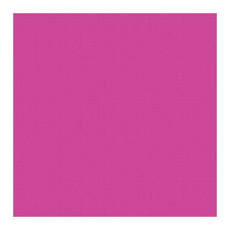 Achetez Paquet de 25 feuilles Cartoline 50x65 cm 120 g fuchsia 455387C CLAIREFONTAINE pas cher sur M..