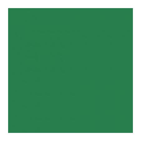 Achetez Paquet de 25 feuilles Cartoline 50x65 cm 120 g vert foncé 455374C CLAIREFONTAINE pas cher ..