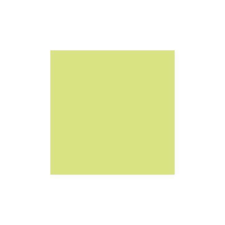 Paquet de 25 feuilles Cartoline 50x65 cm 120 g  vert clair 455319C CLAIREFONTAINE