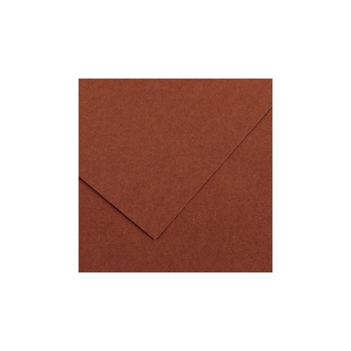 Paquet de 10 feuilles Colorline 50x65 cm 150 g chocolat C31074S053 CANSON