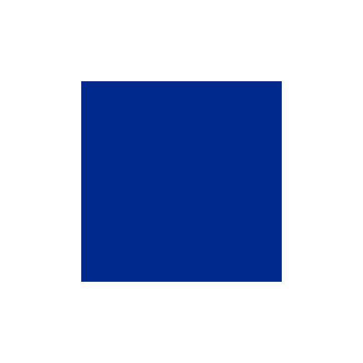 Paquet de 25 feuilles Cartoline 50x65 cm 120 g  bleu outremer 455312C CLAIREFONTAINE