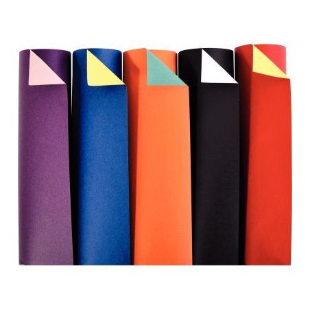 Achetez Paquet de 100 feuilles cartoline bicolore 21x29.7cm 150 g couleurs assorties 457299C CLAIREF..