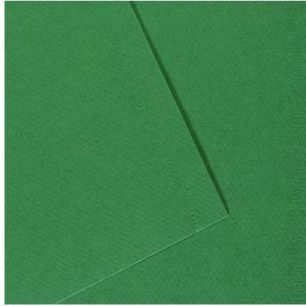 Achetez Paquet de 10 feuilles mi-teinte format 50x65 coloris vert billard C31032S114 CANSON pas cher..