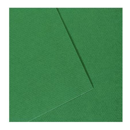 Achetez Paquet de 10 feuilles mi-teinte format 50x65 coloris vert billard C31032S114 CANSON pas cher..