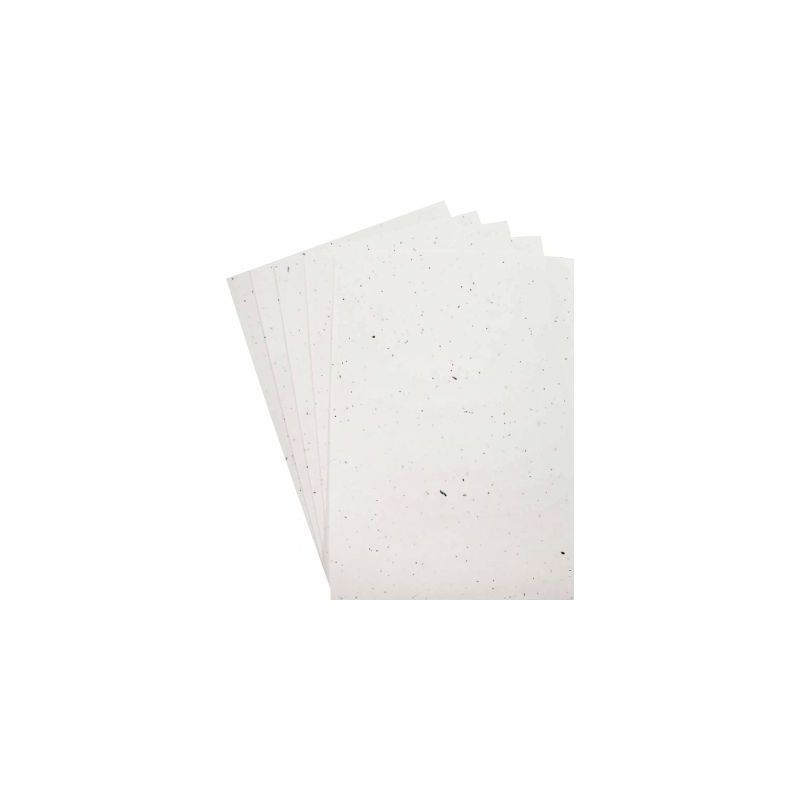Achetez Paquet de 5 feuilles ensemencées format A4 L110011 pas cher sur Ma Rentrée Scolaire Achetez Paquet de 5 feuilles ensemencées format A4 L110011 pas cher sur Ma Rentrée Scolaire