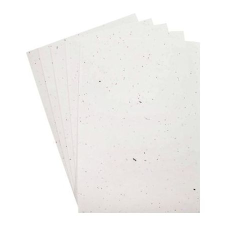 Achetez Paquet de 5 feuilles ensemencées format A4 L110011 pas cher sur Ma Rentrée Scolaire