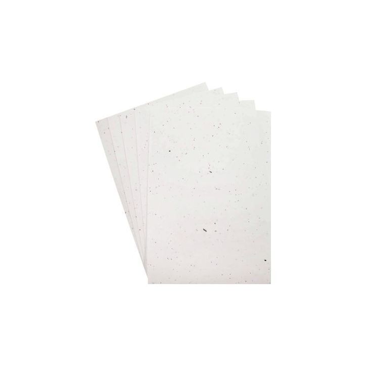 Paquet de 5 feuilles ensemencées format A4 L110011