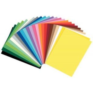 Achetez Paquet de 25 feuilles en carton coloris assortis, format 50 x 70 cm, 300 grammes 61/2599 pas..