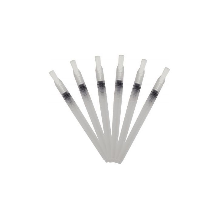 Lot de 6 brosses plates à réservoir, pointes larges GI00110