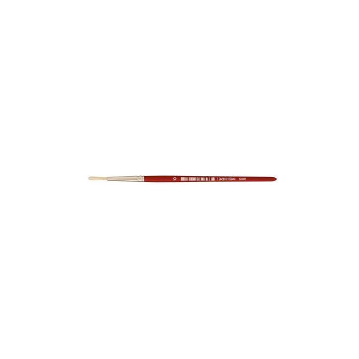 Sac de 10 brosses rondes en soie N°10 MA970/10