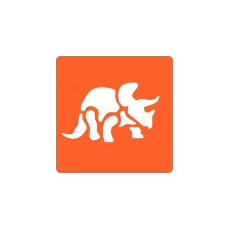 Achetez Paquet de 6 pochoirs en plastique, les dinosaures 225200 pas cher sur Ma Rentrée Scolaire