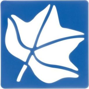 Achetez Lot de 12 pochoirs feuilles d'arbres 1315990 pas cher sur Ma Rentrée Scolaire