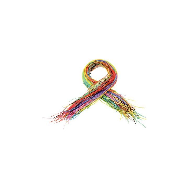 Lot de 200 scoubidous Longueur 80 cm 10 couleurs assorties 2041