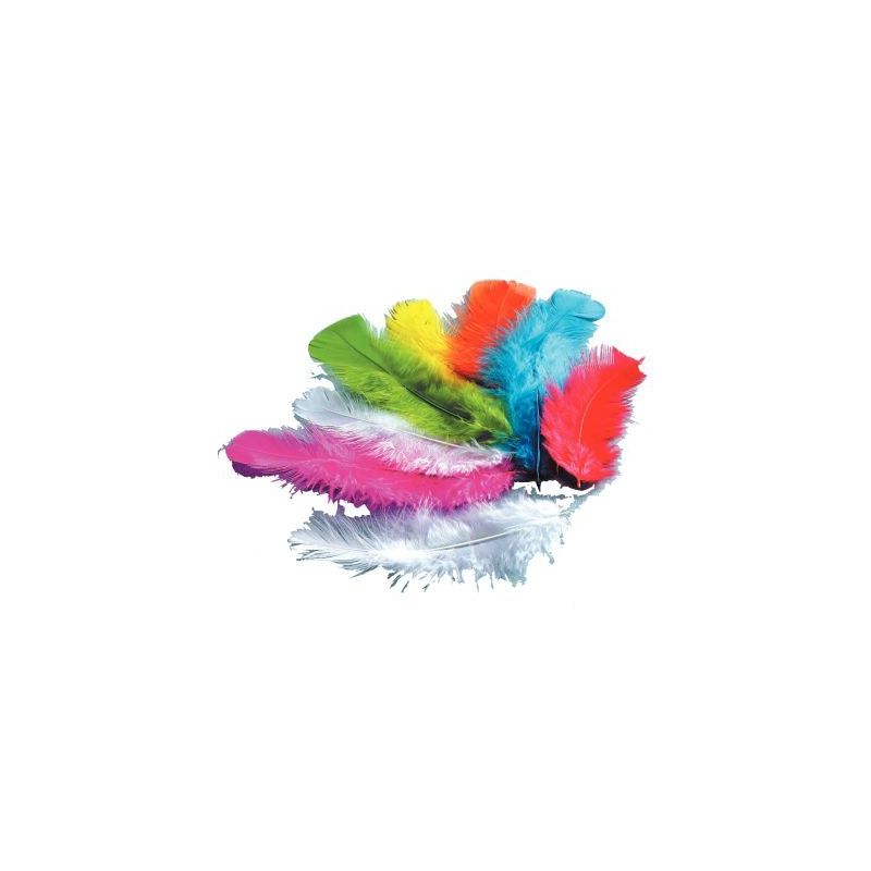 Achetez Sachet de 250 grammes de plumes de dinde assortis 460102 pas cher sur Ma Rentrée Scolaire