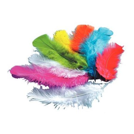 Achetez Sachet de 250 grammes de plumes de dinde assortis 460102 pas cher sur Ma Rentrée Scolaire