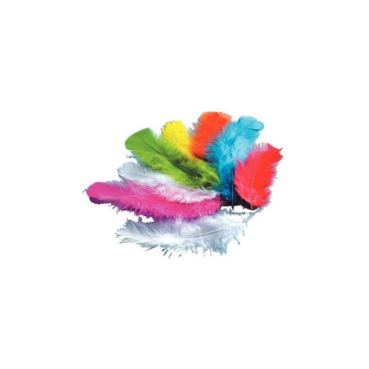 Sachet de 250 grammes de plumes de dinde assortis 460102