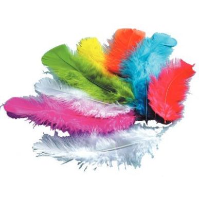 Achetez Sachet de 250 grammes de plumes de dinde assortis 460102 pas cher sur Ma Rentrée Scolaire