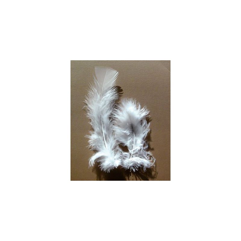 Achetez Sachet de 25 grammes de plumes de dinde, pieds plats blanc 460107 pas cher sur Ma Rentrée S.. Achetez Sachet de 25 grammes de plumes de dinde, pieds plats blanc 460107 pas cher sur Ma Rentrée S..
