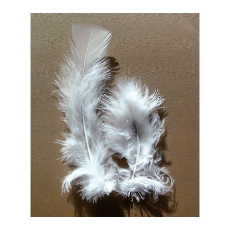 Achetez Sachet de 25 grammes de plumes de dinde, pieds plats blanc 460107 pas cher sur Ma Rentrée S..