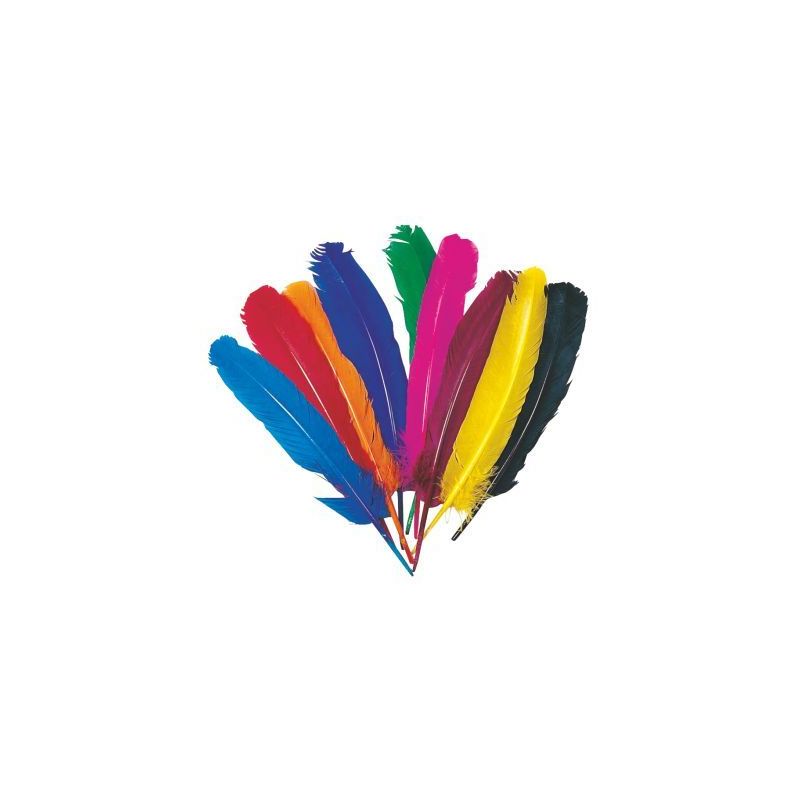 Achetez Sachet de 12 plumes d'indien couleurs assorties SC00655 pas cher sur Ma Rentrée Scolaire Achetez Sachet de 12 plumes d'indien couleurs assorties SC00655 pas cher sur Ma Rentrée Scolaire