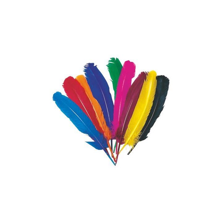 Sachet de 12 plumes d'indien couleurs assorties SC00655