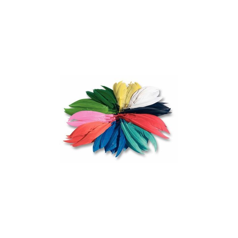 Achetez Sachet de 100 grammes de plumes d'indien couleurs assorties 55109 pas cher sur Ma Rentrée S..