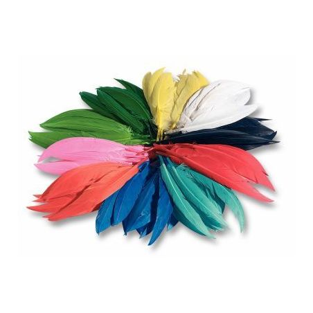 Achetez Sachet de 100 grammes de plumes d'indien couleurs assorties 55109 pas cher sur Ma Rentrée S..