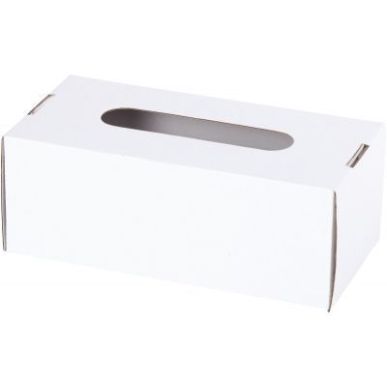 Achetez Lot de 10 boîtes à mouchoir en carton blanc à monter et décorer BM/GM/10 pas cher sur Ma..