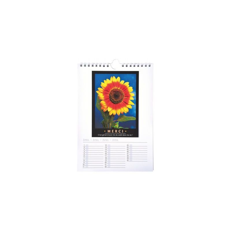Achetez Calendrier à décorer format : 17x24 cm 2314 pas cher sur Ma Rentrée Scolaire